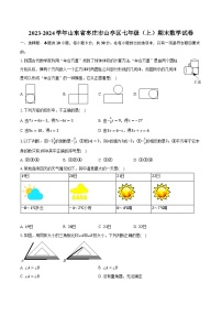 2023-2024学年山东省枣庄市山亭区七年级（上）期末数学试卷（含解析）