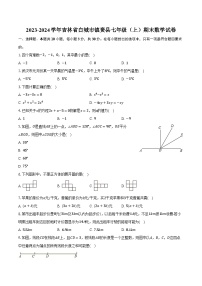 2023-2024学年吉林省白城市镇赉县七年级（上）期末数学试卷（含解析）