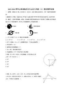 2023-2024学年山东省临沂市兰山区九年级（上）期末数学试卷（含解析）