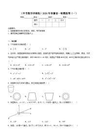 （中考数学冲刺练）2024年安徽省一轮模拟卷（一）（含答案）