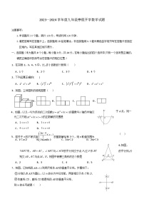 山东省菏泽市成武县重点中学2023-2024学年九年级下学期开学考试数学试题（含答案）