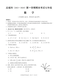 湖北省应城市2023-2024学年七年级上学期期末考试数学试题