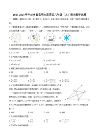 2023-2024学年云南省昆明市呈贡区八年级（上）期末数学试卷（含解析）