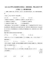 2023-2024学年山东省青岛市黄岛区、西海岸新区、崂山区育才中学九年级（上）期末数学试卷（含解析）