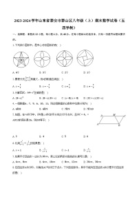 2023-2024学年山东省泰安市泰山区八年级（上）期末数学试卷（五四学制）（含解析）