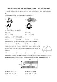 2023-2024学年吉林省吉林市丰满区九年级（上）期末数学试卷（含解析）