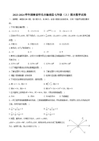 2023-2024学年湖南省怀化市溆浦县七年级（上）期末数学试卷（含解析）