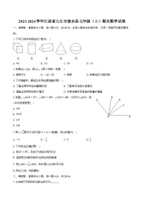 2023-2024学年江西省九江市修水县七年级（上）期末数学试卷（含解析）