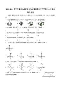 2023-2024学年内蒙古巴彦淖尔市乌拉特前旗三中九年级（上）期末数学试卷（含解析）