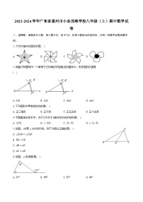 2023-2024学年广东省惠州市小金茂峰学校八年级（上）期中数学试卷（含解析）