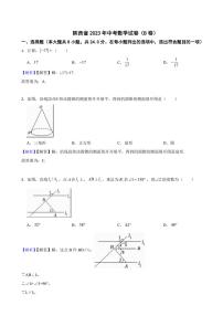 陕西省2023年中考数学试题（B卷）（附真题解析）