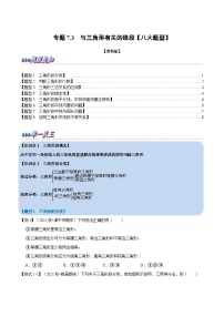 专题7.3 与三角形有关的线段【八大题型】-2022-2023学年七年级数学下册举一反三系列（苏科版）