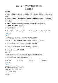 61，河南省平顶山市鲁山县2023-2024学年八年级上学期期末数学试题