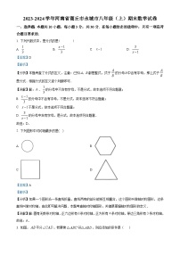 72，河南省商丘市永城市2023-2024学年八年级上学期期末数学试题