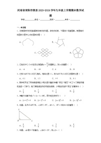 河南省安阳市滑县2023-2024学年九年级上学期期末数学试题(含答案)