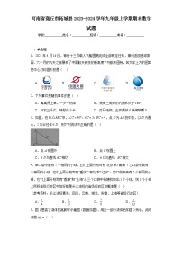 河南省商丘市柘城县2023-2024学年九年级上学期期末数学试题(含答案)