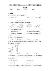 陕西省安康市石泉县2023-2024学年度九年级上学期期末数学试题(含答案)