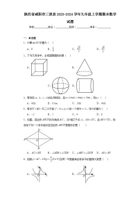 陕西省咸阳市三原县2023-2024学年九年级上学期期末数学试题(含答案)