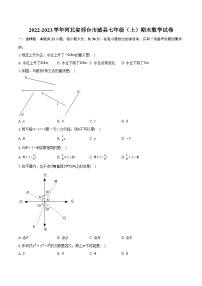 2022-2023学年河北省邢台市威县七年级（上）期末数学试卷(含解析）