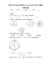 黑龙江省齐齐哈尔市龙沙区2023-2024学年九年级上学期期末数学试题