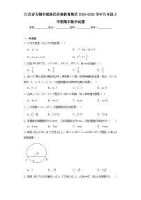 江苏省无锡市梁溪区侨谊教育集团2023-2024学年九年级上学期期末数学试题