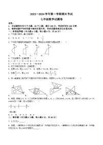 江西省赣州市章贡区2023-2024学年七年级上学期期末数学试题(无答案)