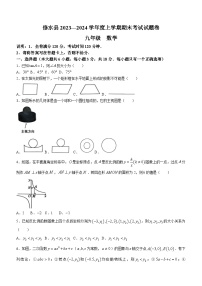 江西省九江市修水县2023-2024学年九年级上学期期末数学试题(含答案)