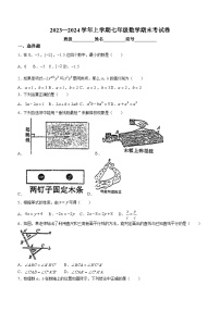 福建省莆田市城厢区莆田哲理中学2023-2024学年七年级上学期期末数学试题(无答案)