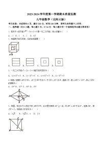 陕西省西安市未央区经开二校2023-2024学年九年级上学期期末数学试题(无答案)