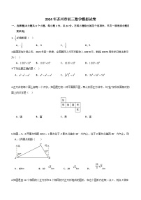 2024年江苏省苏州市工业园区重点中学中考数学模拟测试卷（无答案）