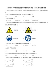 2023-2024学年湖北省随州市曾都区八年级（上）期末数学试卷（含解析）