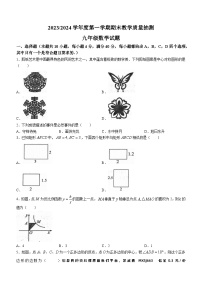 安徽省合肥市庐江县2023-2024学年九年级上学期期末数学试题