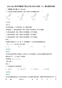 河南省平顶山市宝丰县2023-2024学年七年级上学期期末数学试题