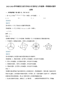 黑龙江省齐齐哈尔市龙沙区2023-2024学年九年级上学期期末数学试题