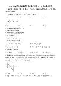 精品解析：河南省鹤壁市浚县2023-2024学年八年级上学期期末数学试题