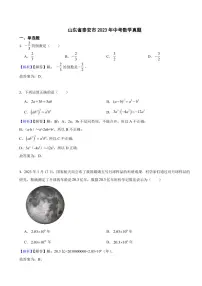 山东省泰安市2023年中考数学试题（附真题解析）