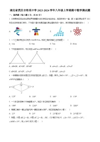 湖北省武汉市培英中学2023-2024学年八年级上学期期中数学试题