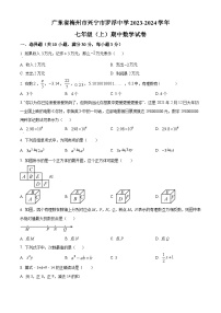 广东省梅州市兴宁市罗浮中学2023-2024学年七年级上学期期中数学试题（原卷+解析）