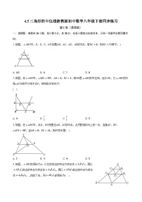 初中数学浙教版八年级下册4.5 三角形的中位线精品课后测评