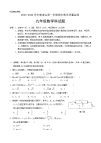 广东省清远市连山壮族瑶族自治县2023－2024学年九年级上学期期末数学试卷