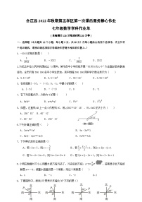 四川省泸州市合江县第五片区2022-2023学年七年级上学期期末定时作业数学试题