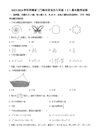 河南省三门峡市灵宝市2023-2024学年八年级上学期期末数学试题（原卷+解析）