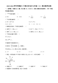 河南省三门峡市灵宝市2023-2024学年七年级上学期期末数学试题（原卷+解析）