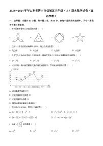 山东省济宁市任城区2023-2024学年八年级上学期期末数学试题（原卷+解析）