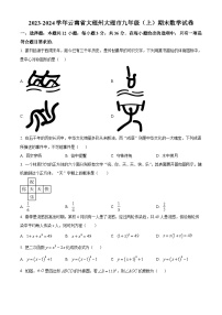 云南省大理白族自治州大理市2023-2024学年九年级上学期期末数学试题（原卷+解析）