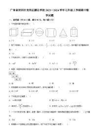 广东省深圳市龙岗区鹏达学校2023-2024学年七年级上学期期中数学试题（原卷+解析）