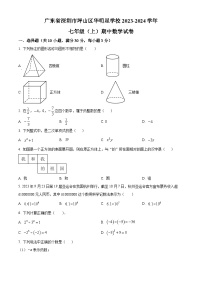 广东省深圳市坪山区华明星学校2023-2024学年七年级上学期期中数学试题（原卷+解析）