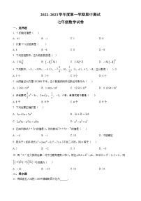 广东省湛江市第二十九中学2022-2023学年七年级上学期期中数学试题（原卷+解析）