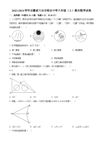 安徽省六安市裕安中学2023-2024学年八年级上学期期末数学试题（原卷+解析）