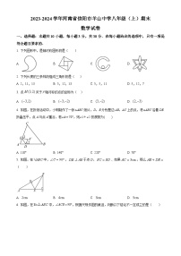 河南省信阳市平桥区羊山中学2023-2024学年八年级上学期期末数学试题（原卷+解析）